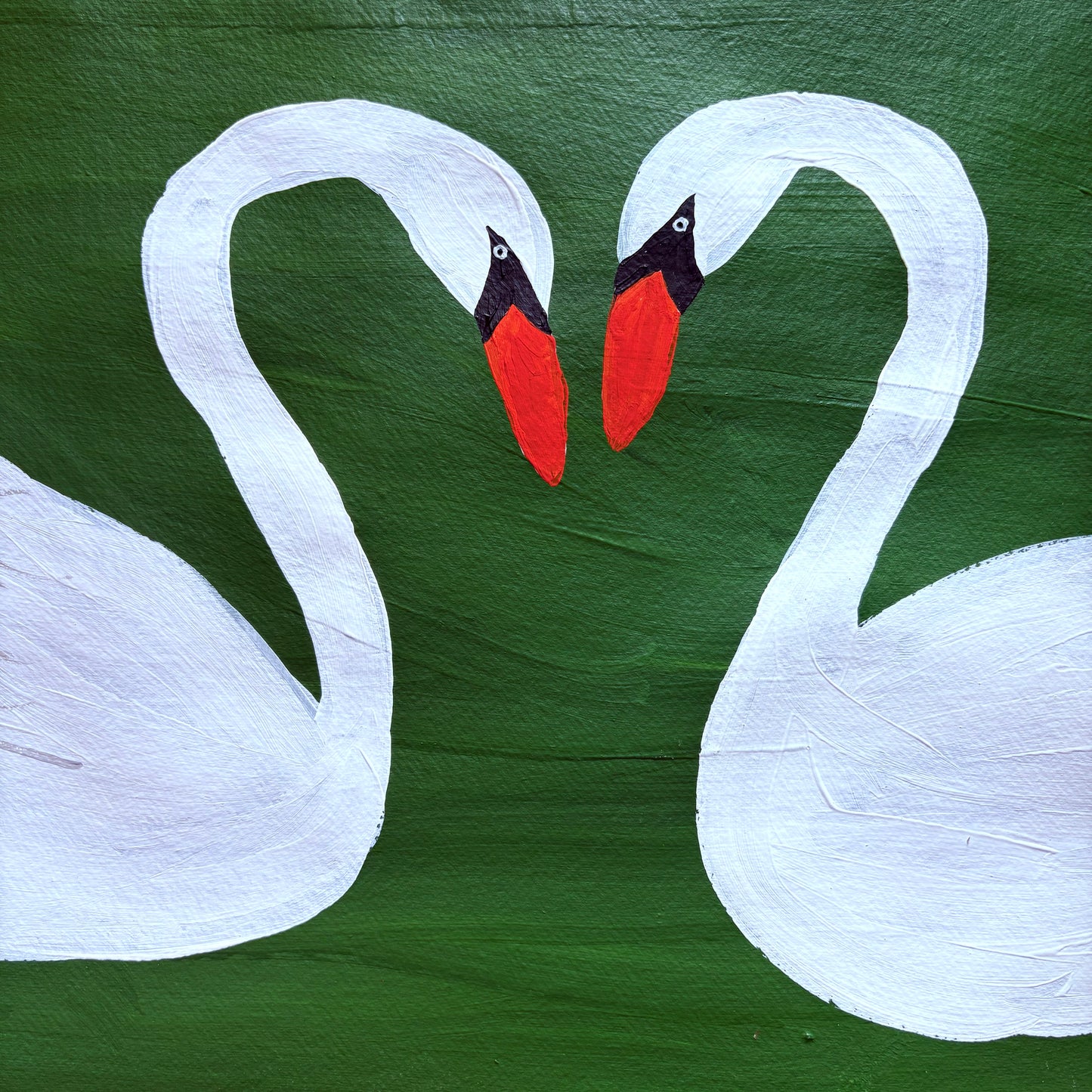Two beautiful swans.