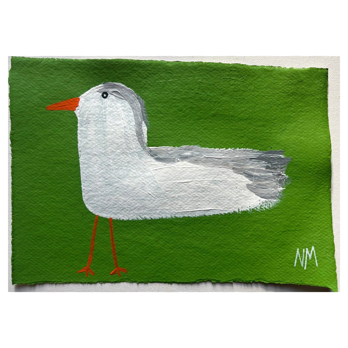 Seagulls 7.