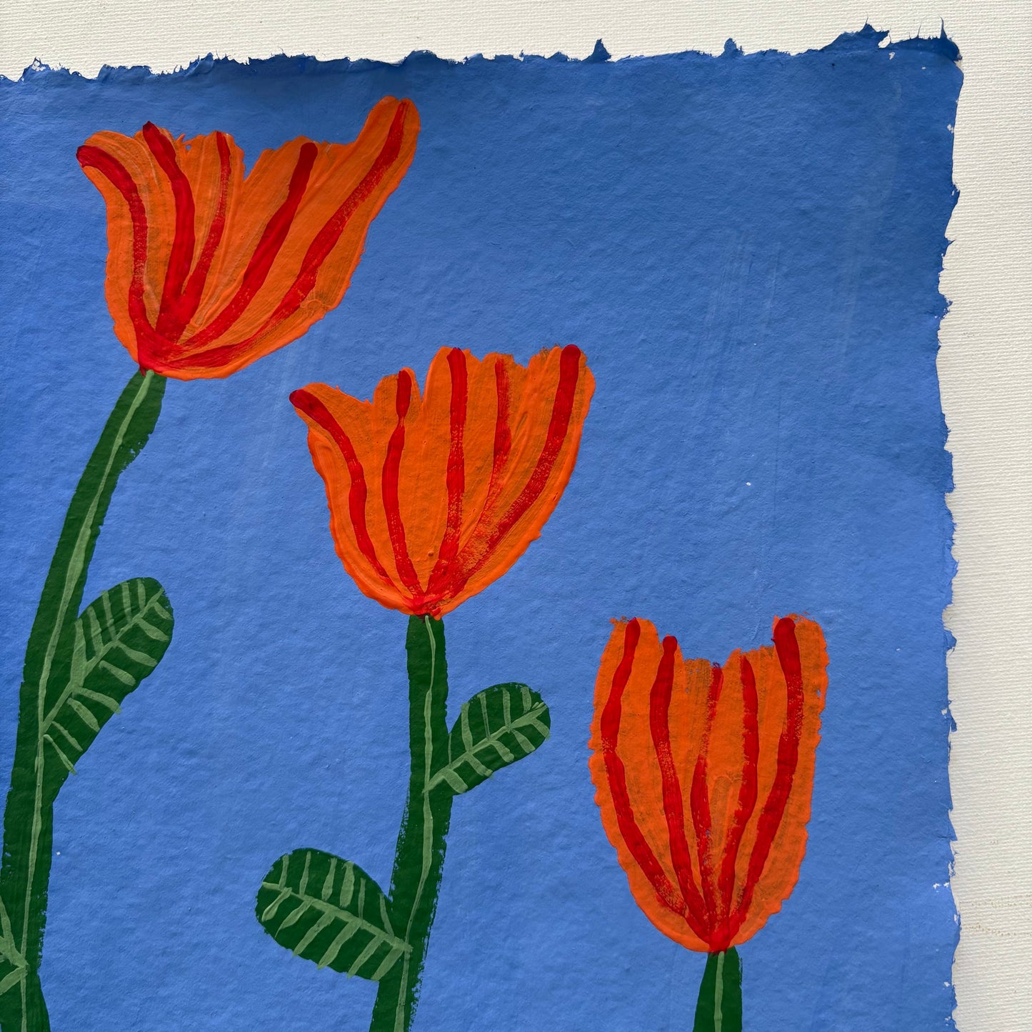 Orange tulips.
