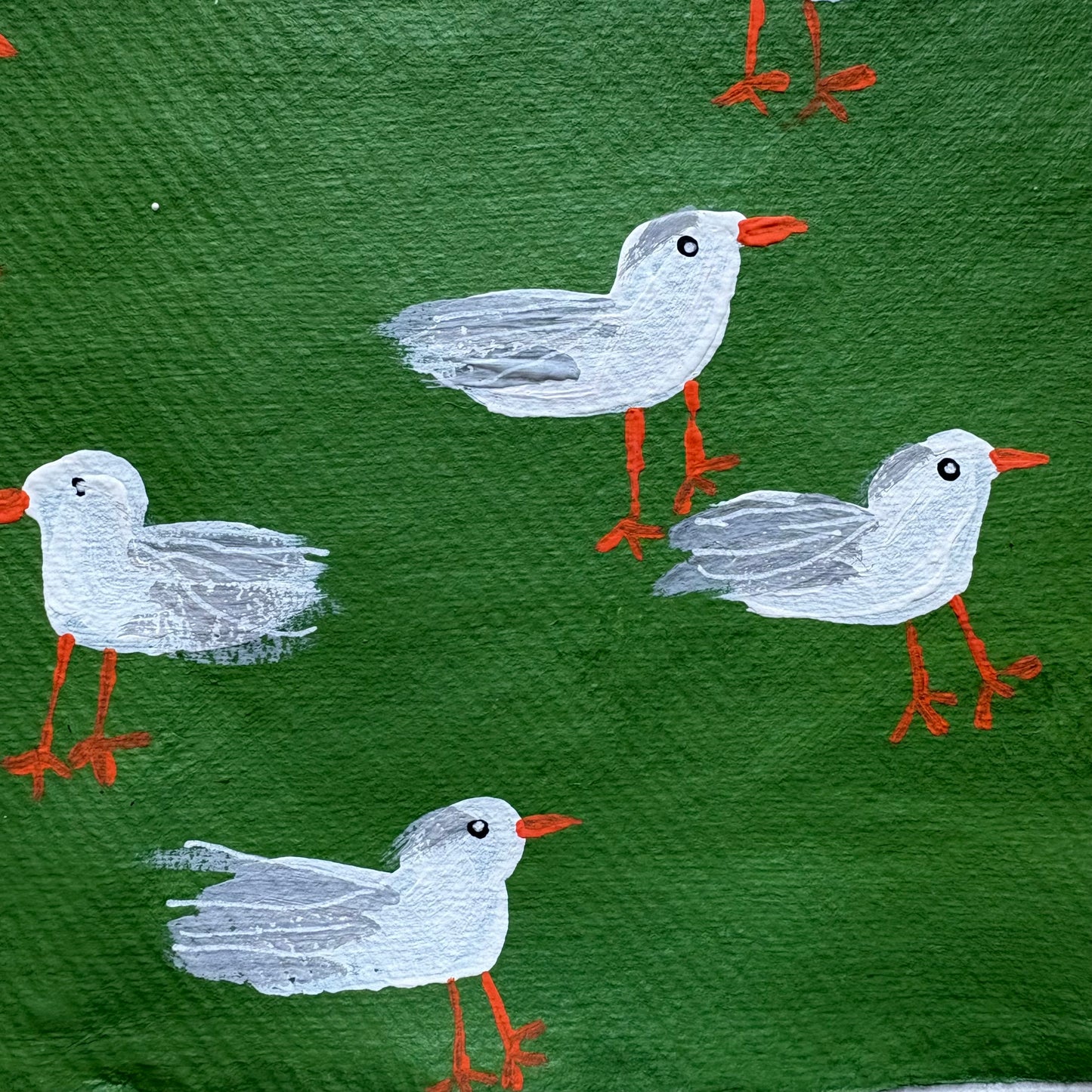 Seagulls on green.