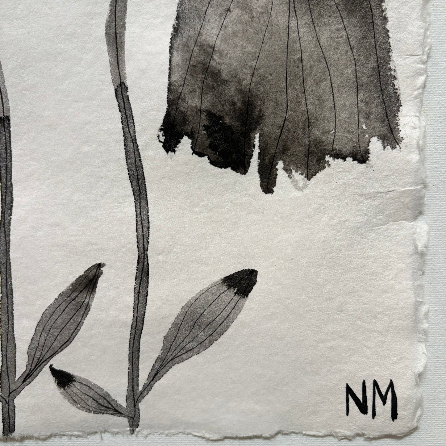 Flowers 5.