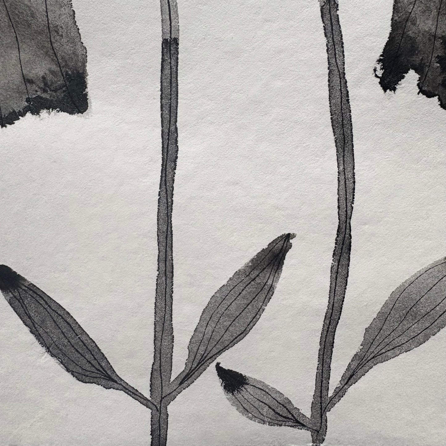 Flowers 5.