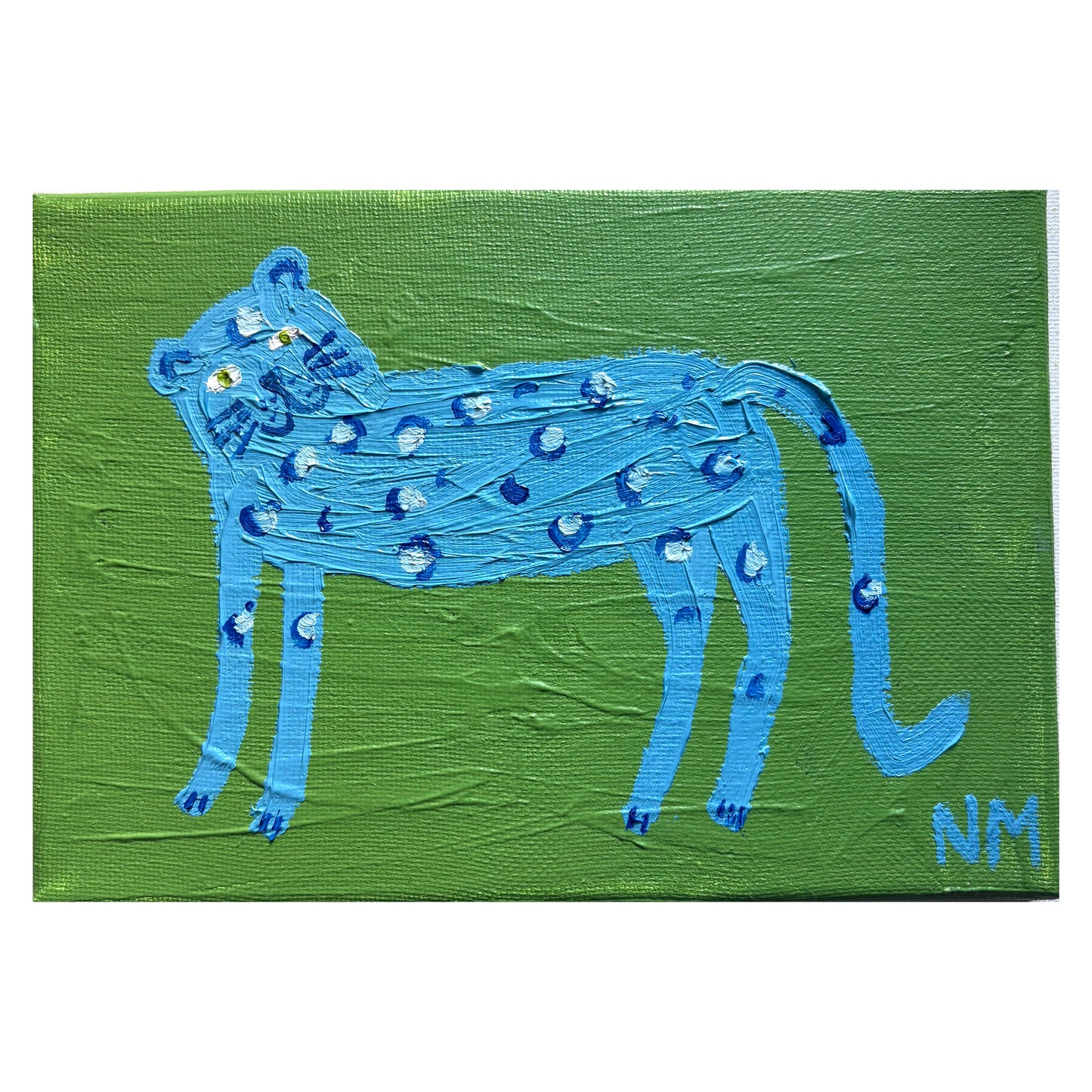 Little blue leopard.