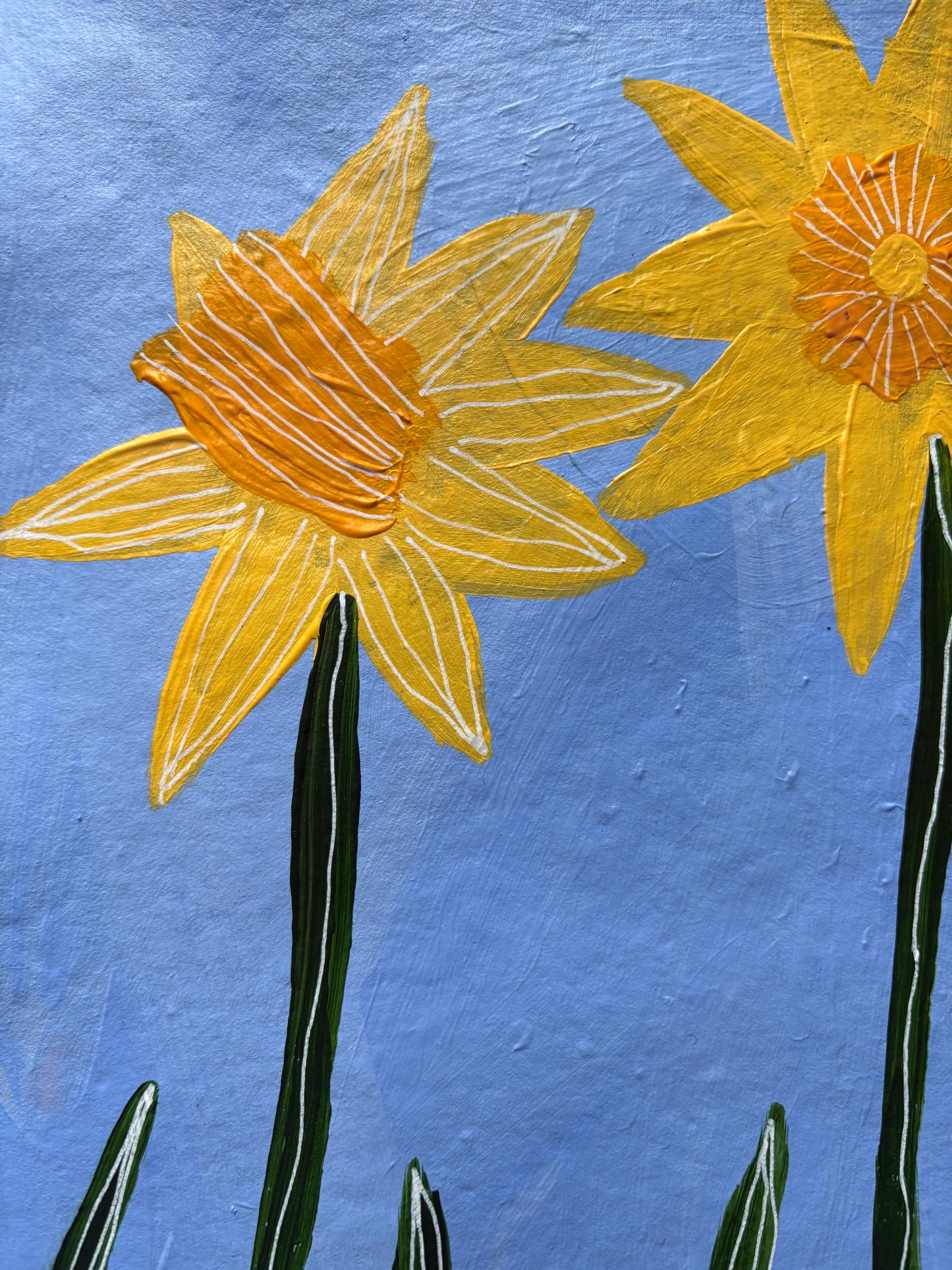 Daffodils.