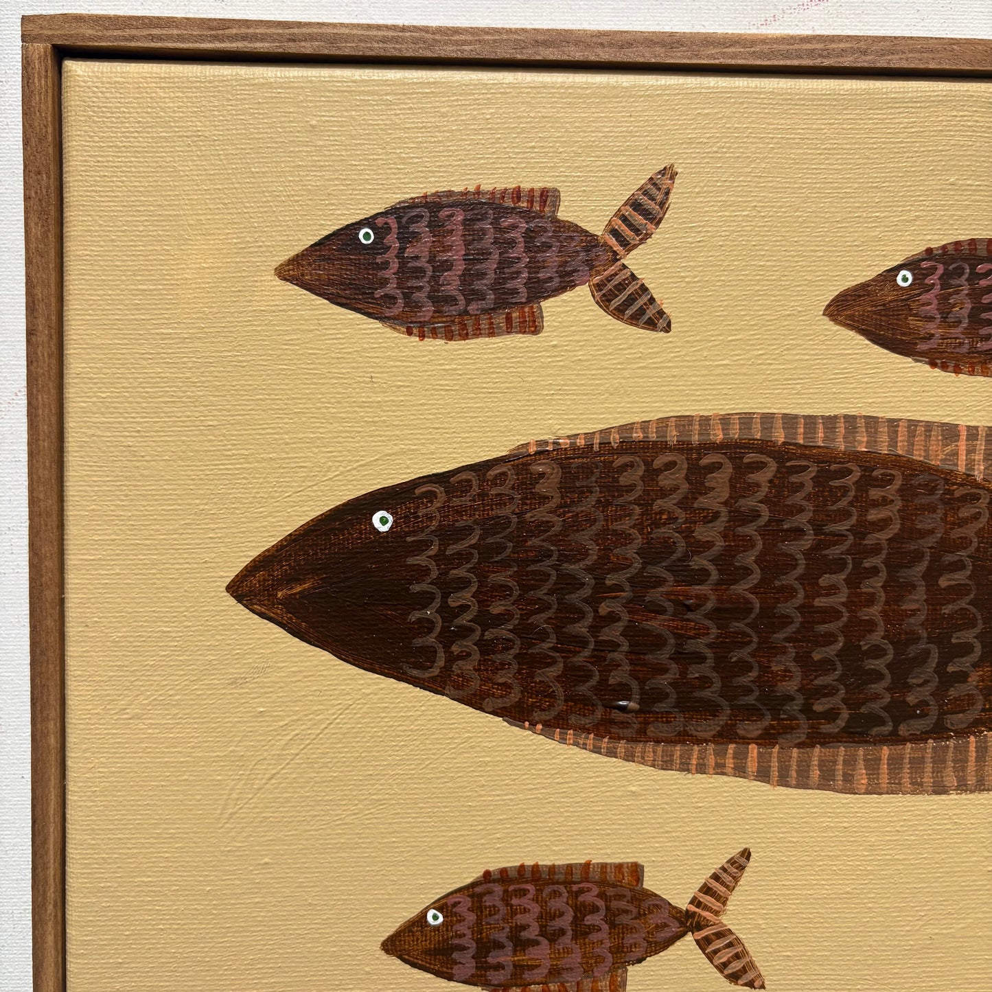 Brown fish family.