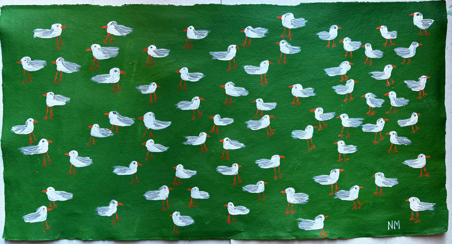 Seagulls on green.