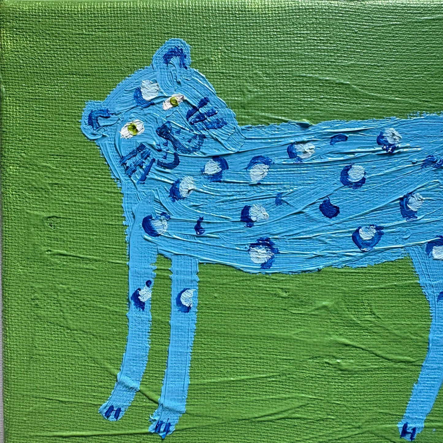 Little blue leopard.