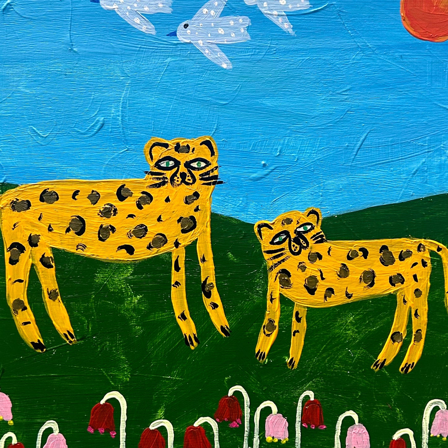 The leopards in the sunshine