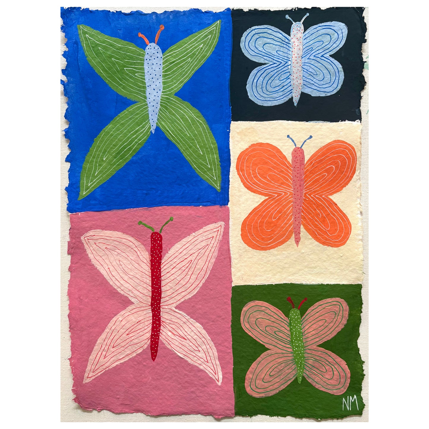 Colouful butterflies.