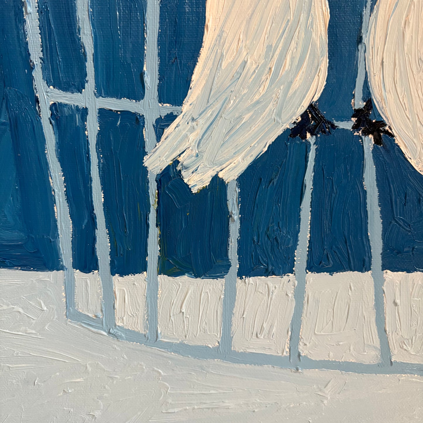Pretty white birds.