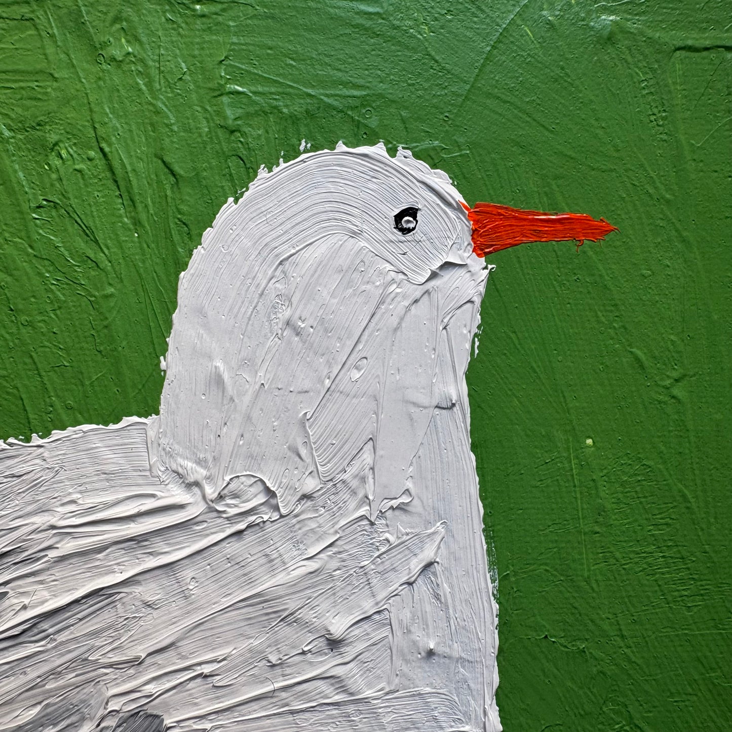 Seagull.