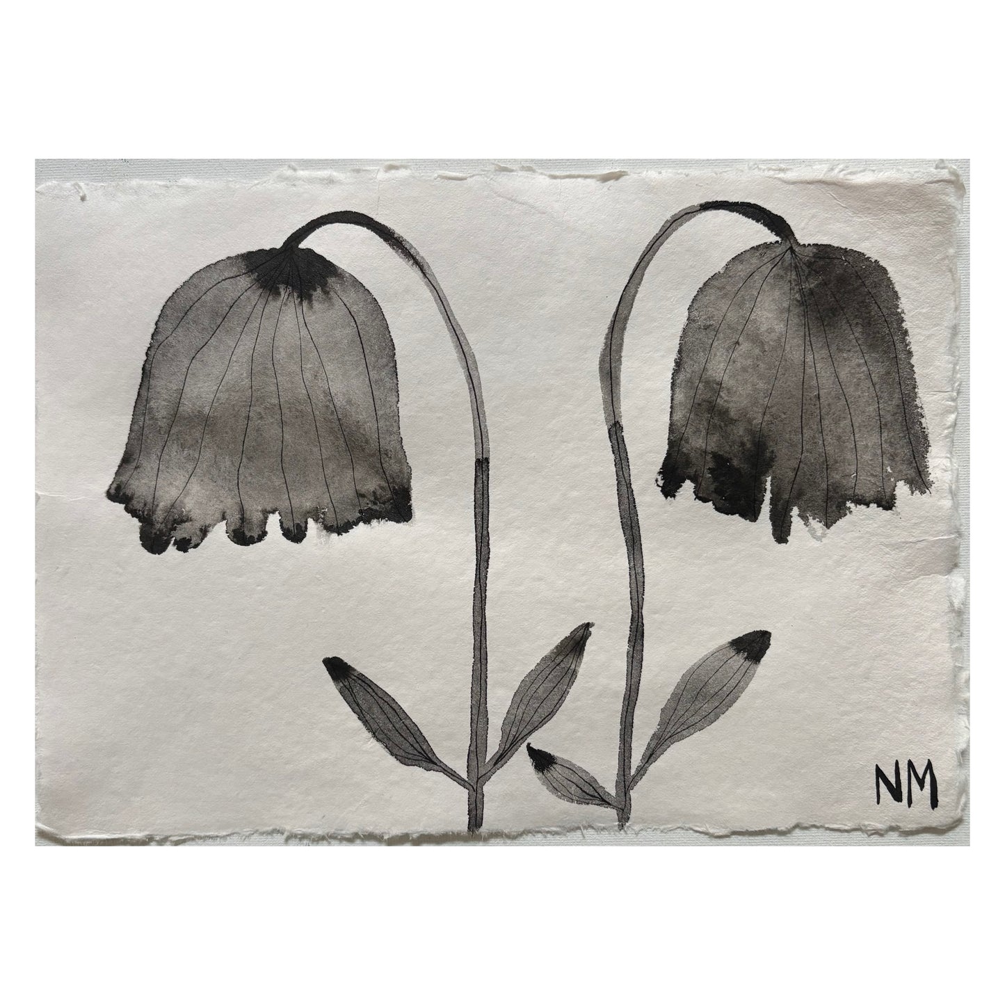 Flowers 5.