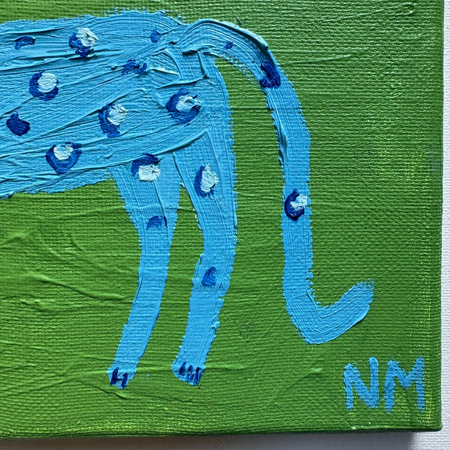 Little blue leopard.