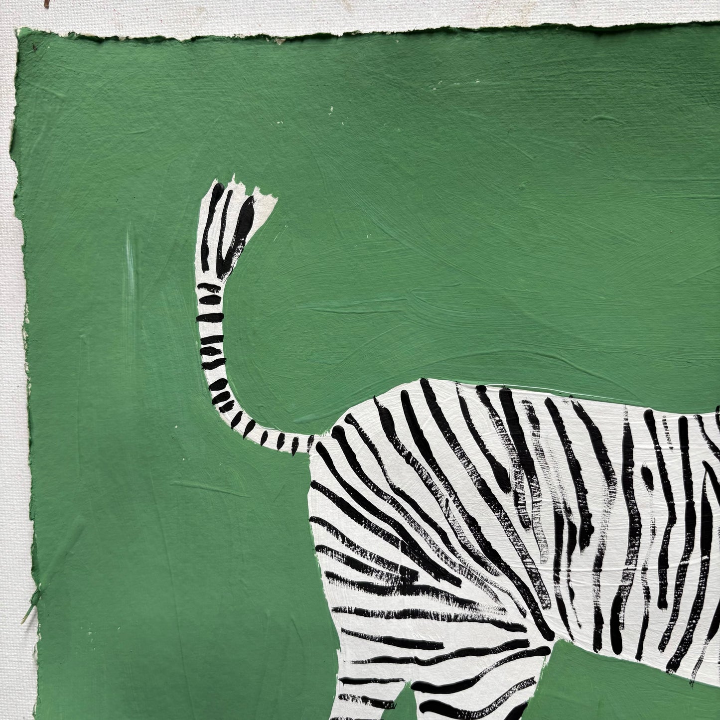 Zebra.