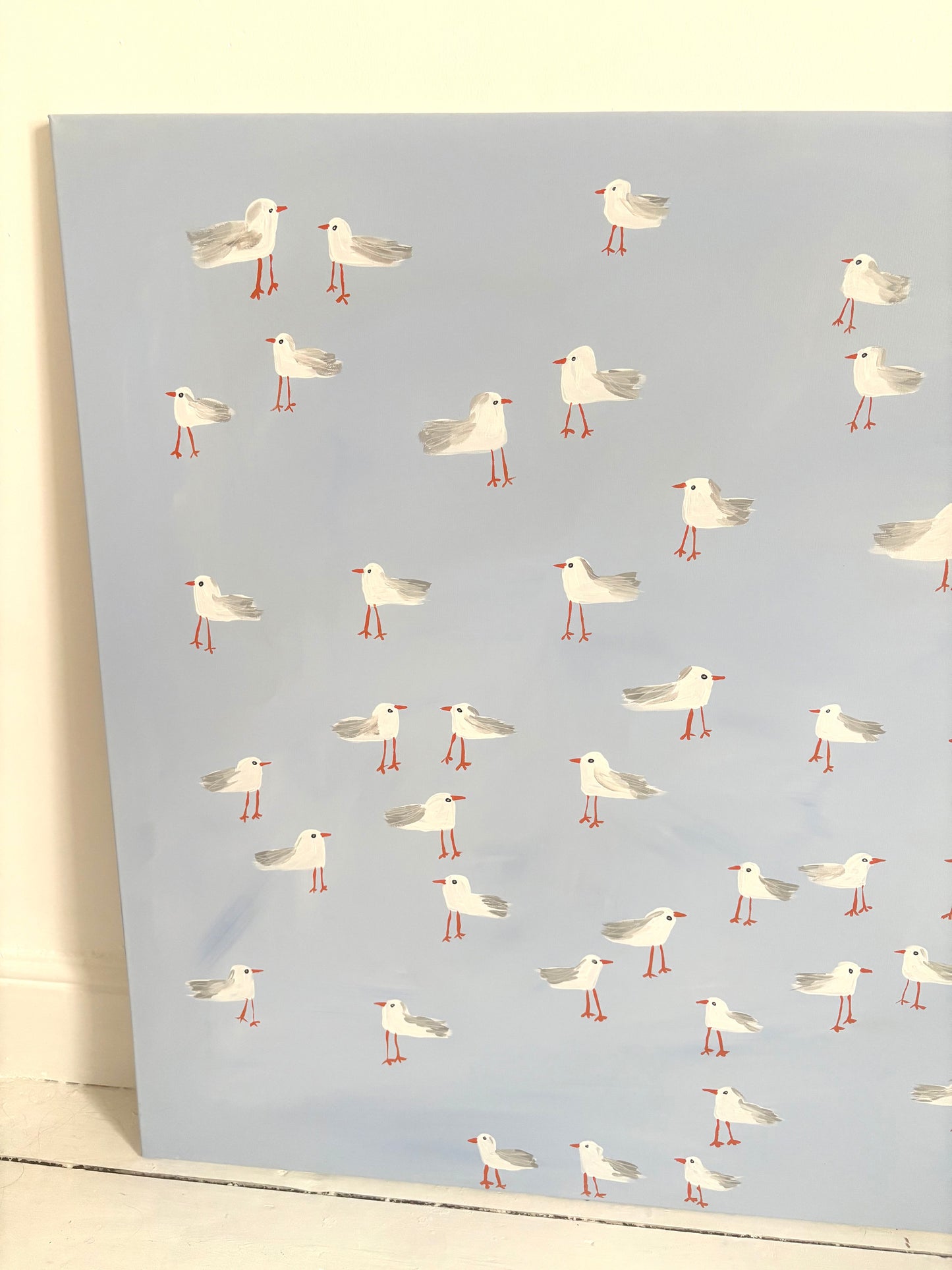 A squabble of seagulls