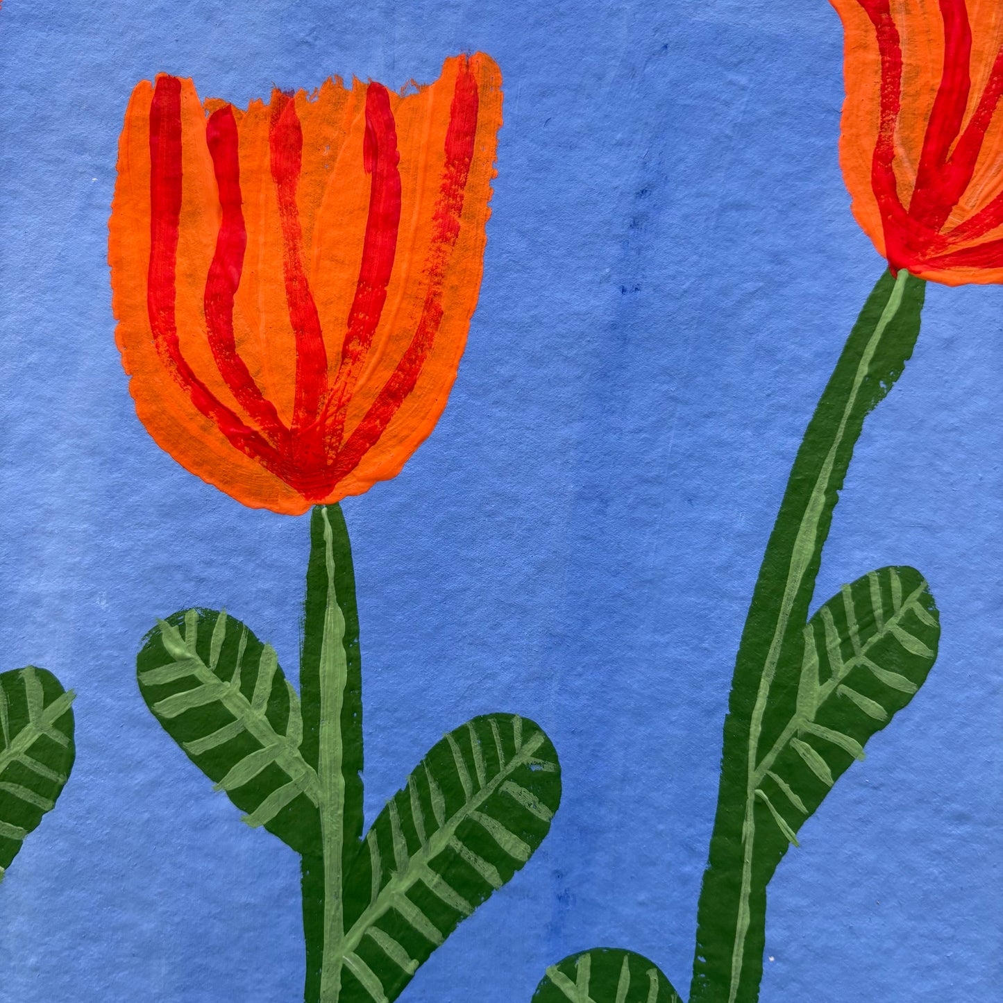Orange tulips.