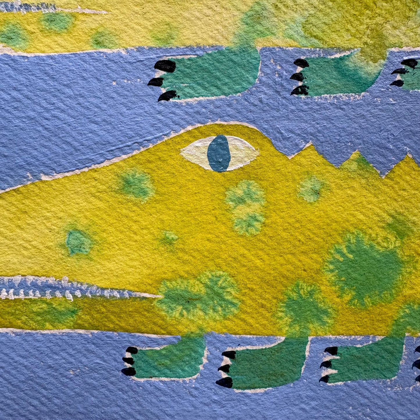Spotty crocs.