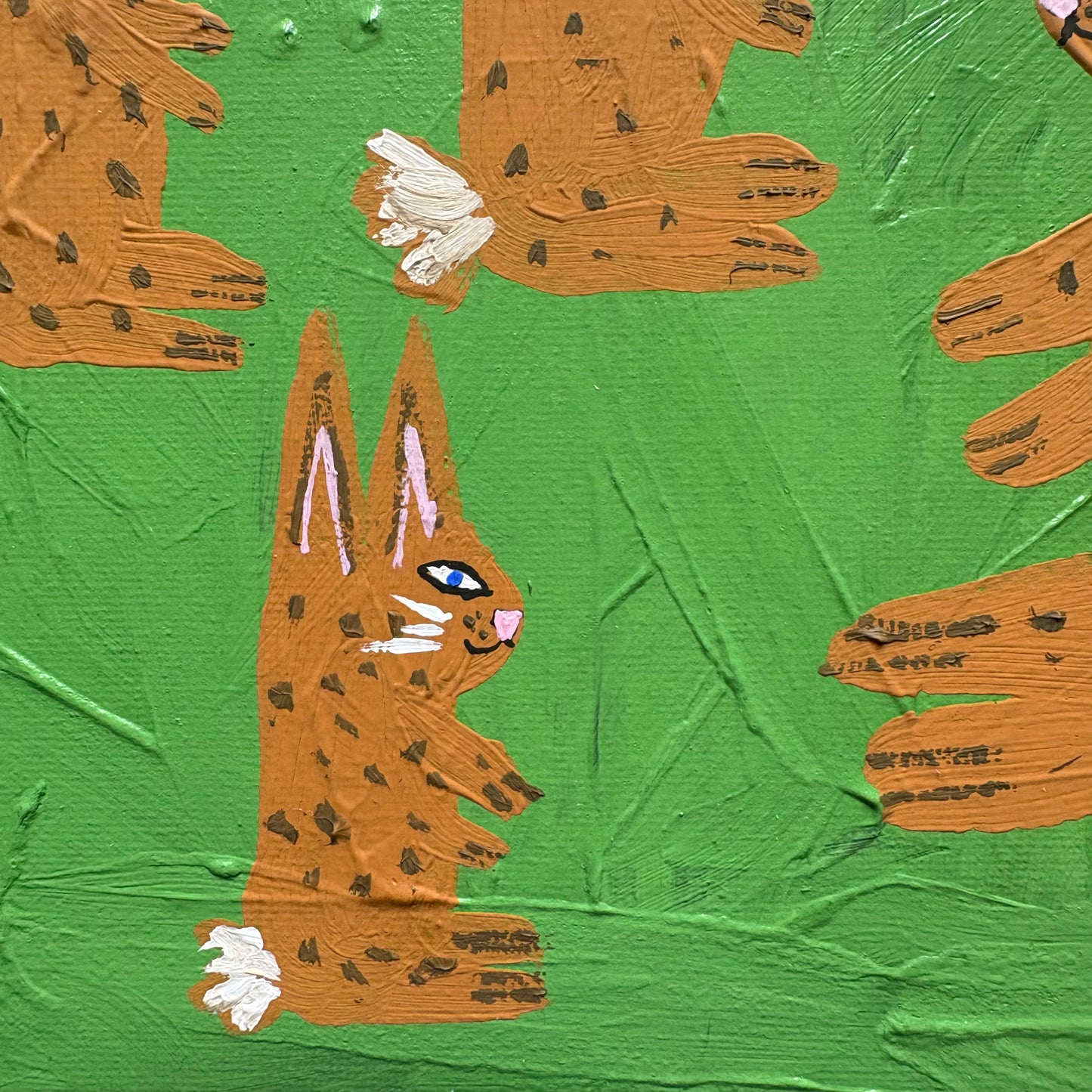Rabbit family.