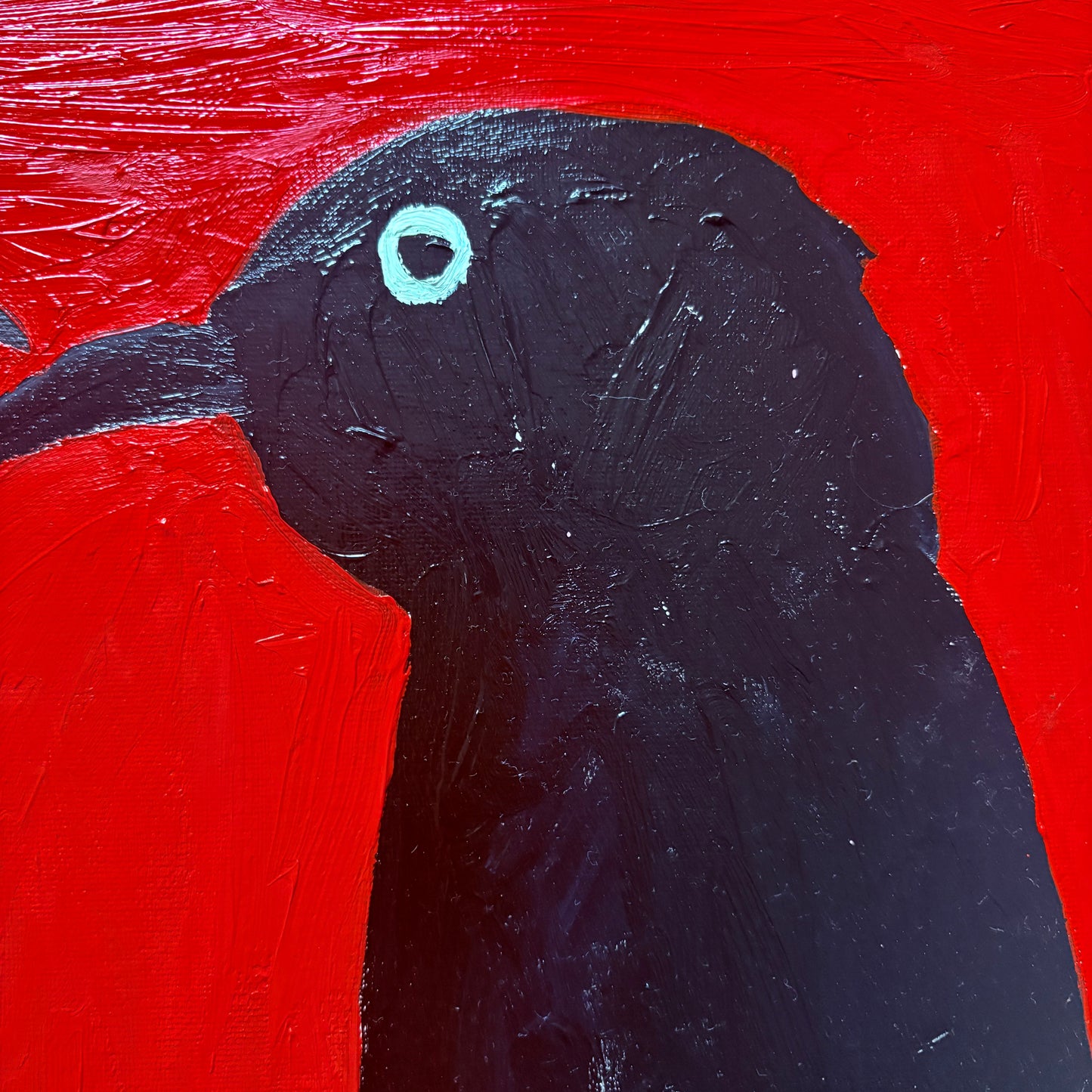 Crows on red.