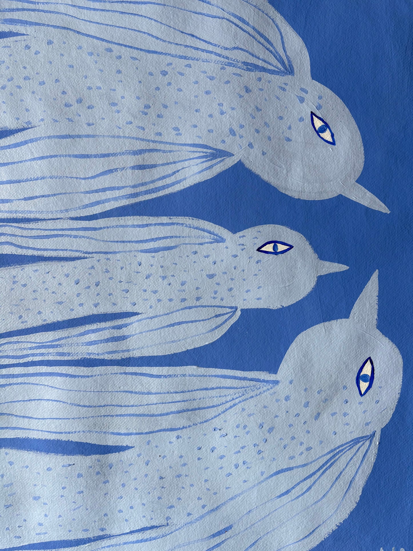 Blue bird family.
