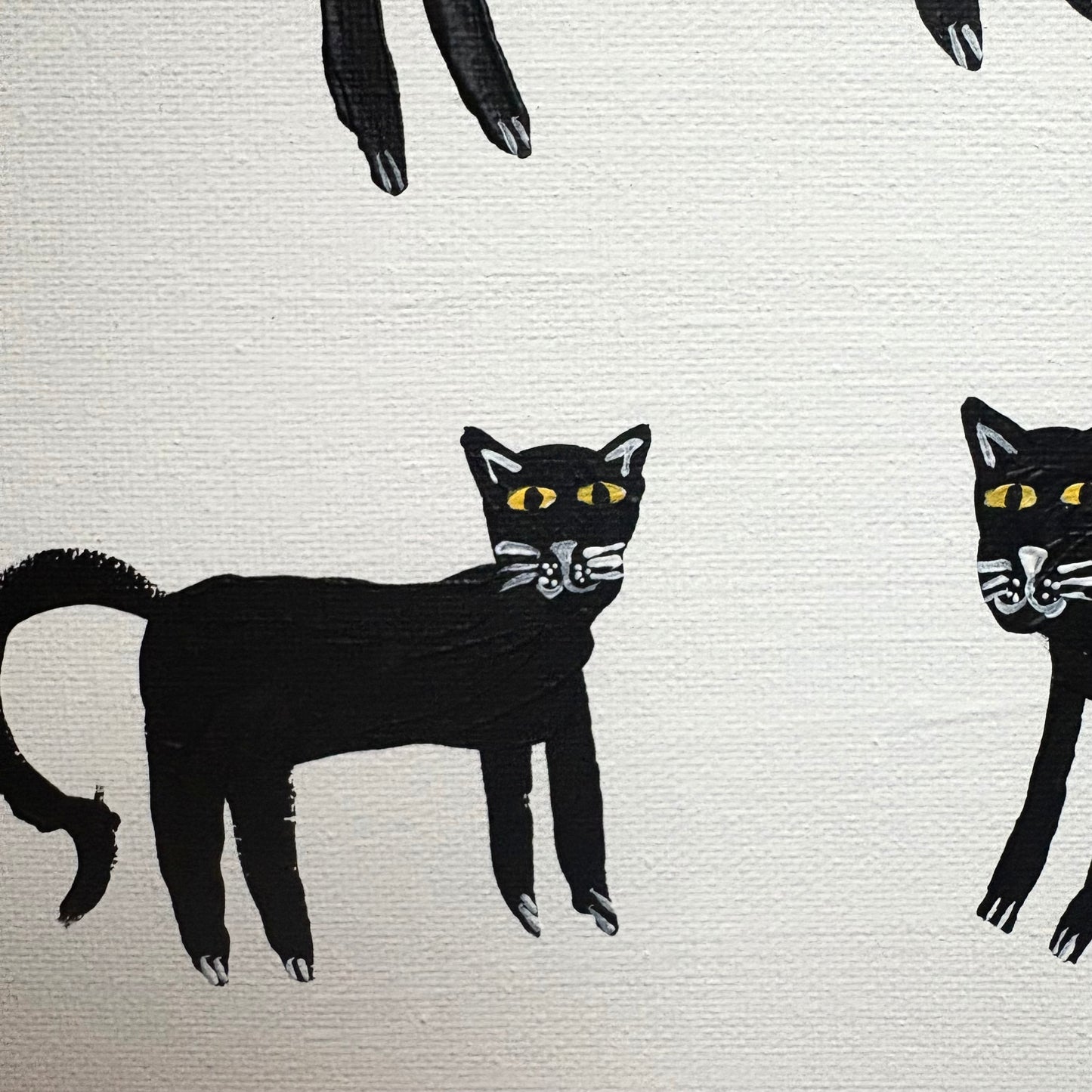 Black cats.