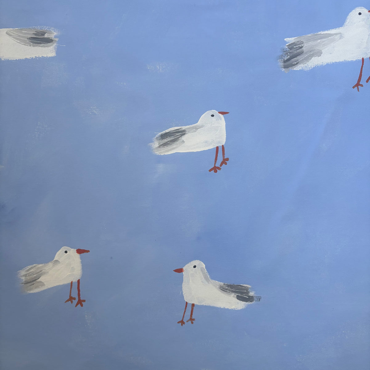 Seagulls by the sea.