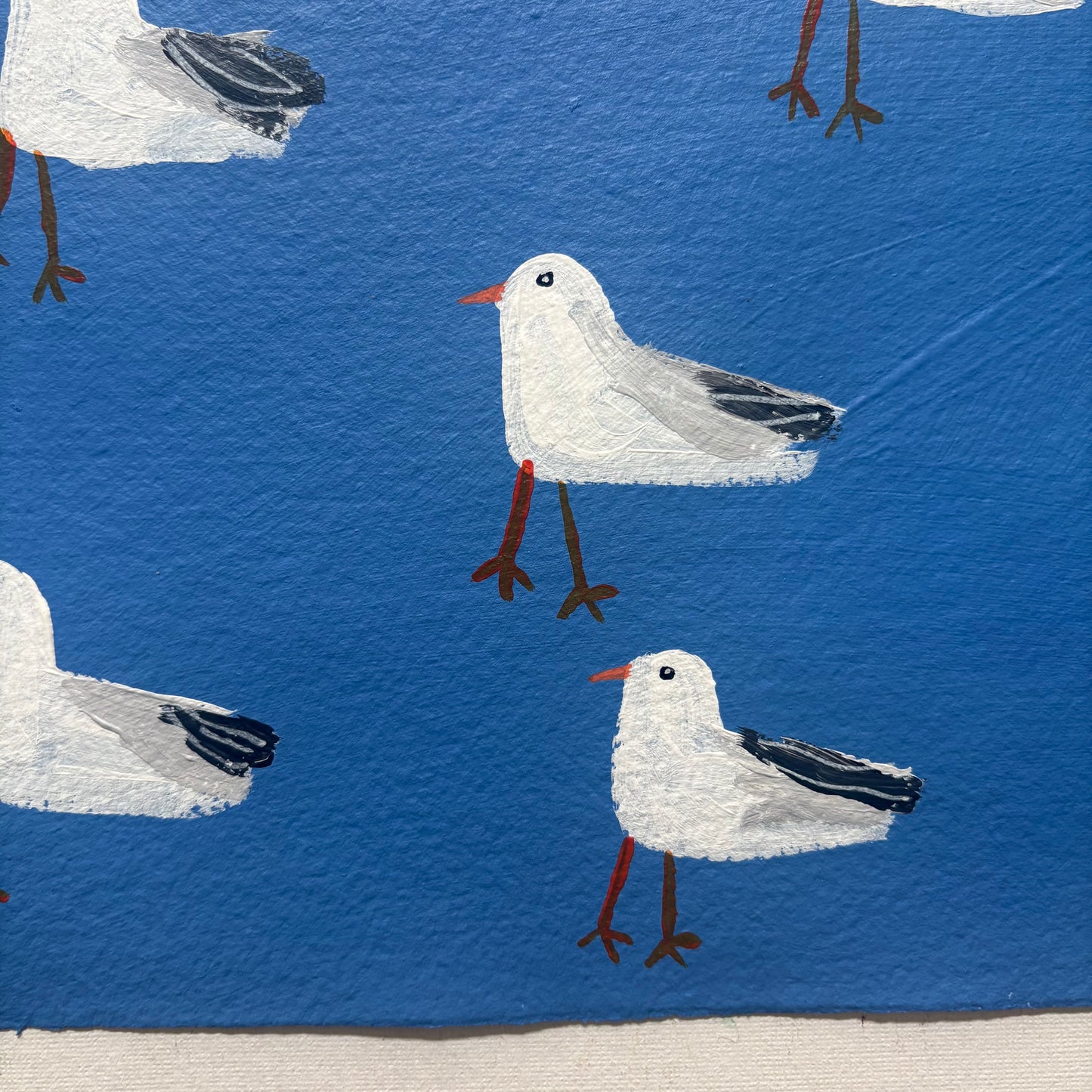 Seagull friends.