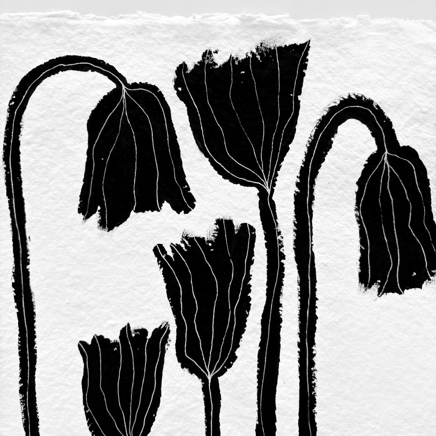 Black flowers.