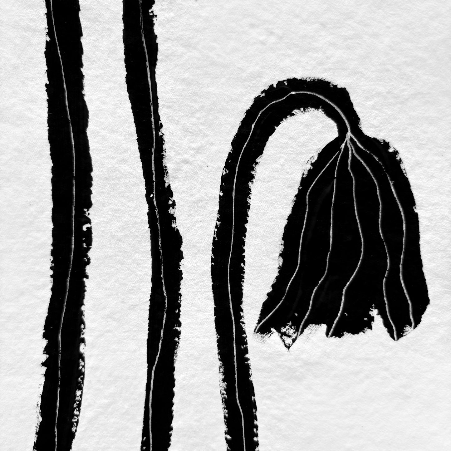 Black flowers.