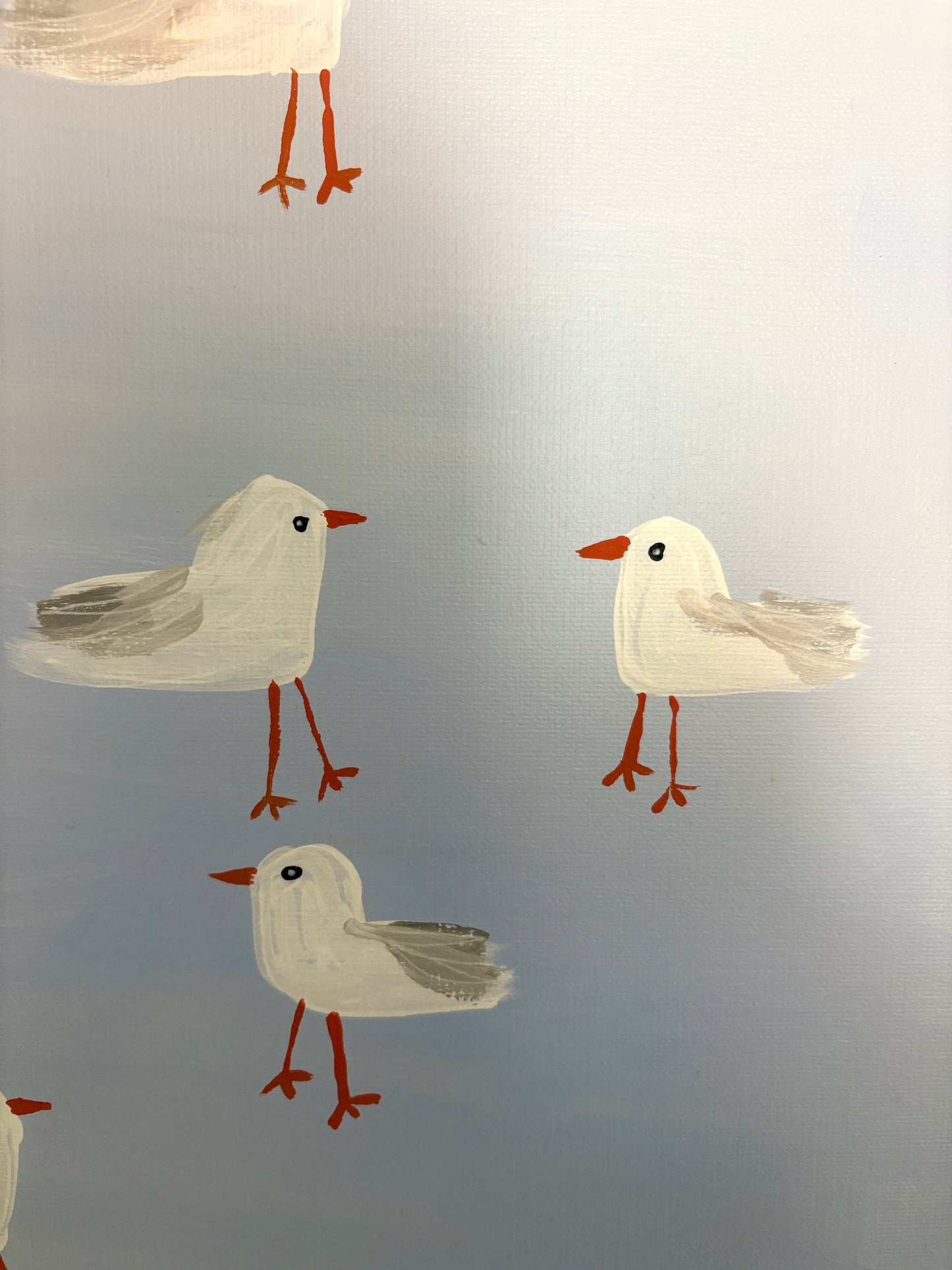 A squabble of seagulls.