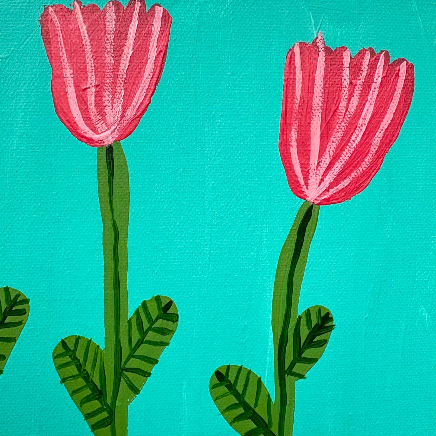 Pink tulips.