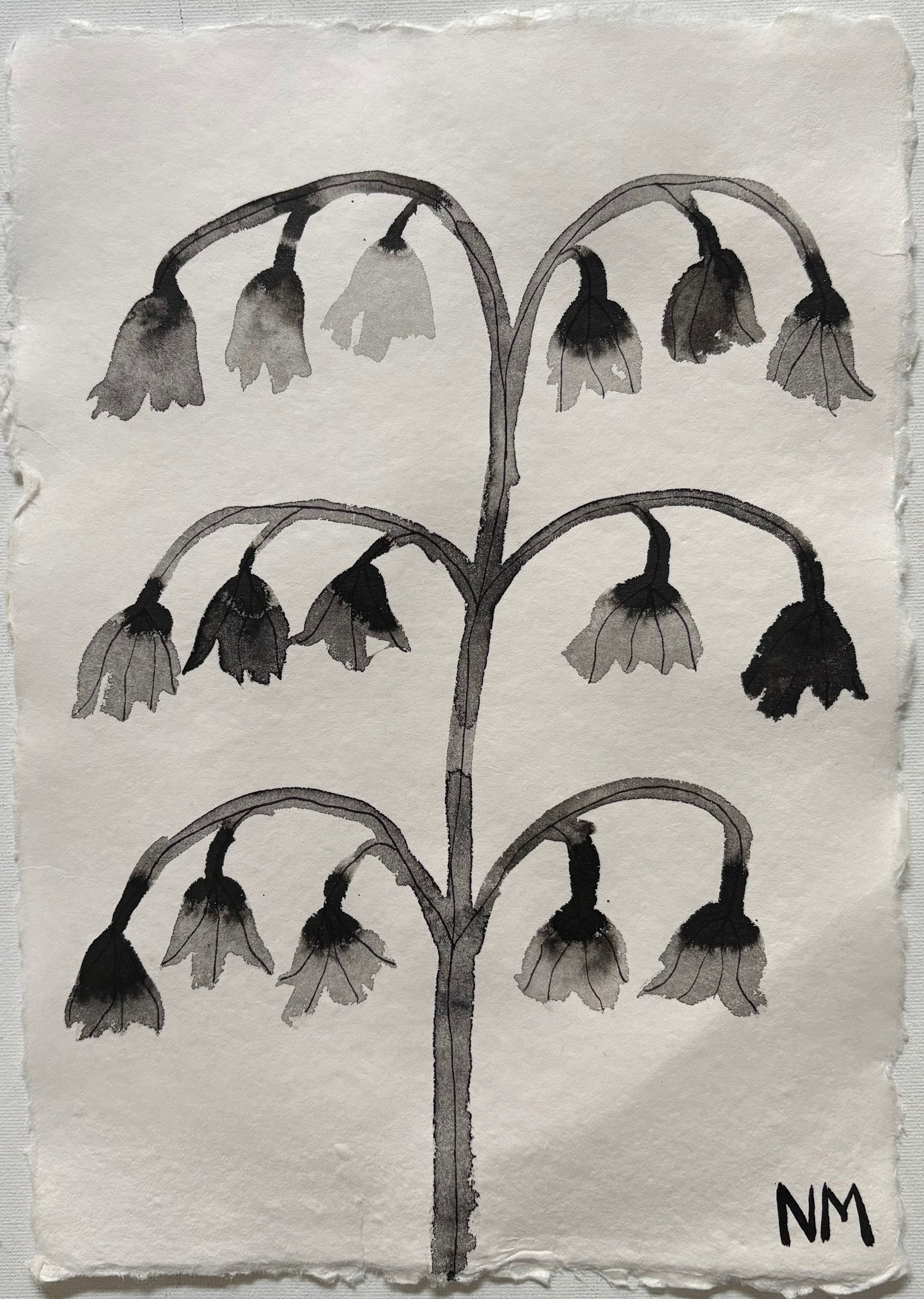Flowers 4.