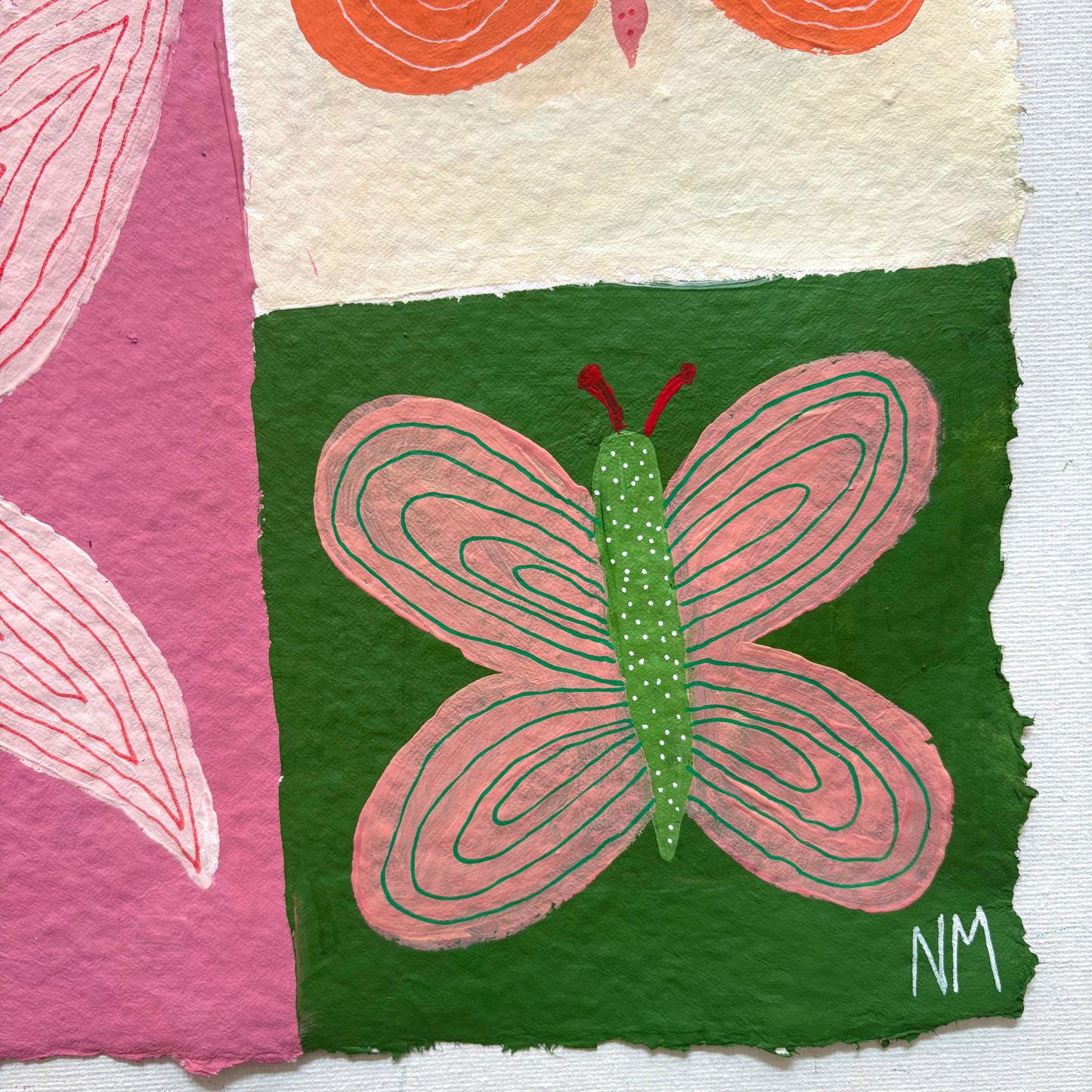 Colouful butterflies.