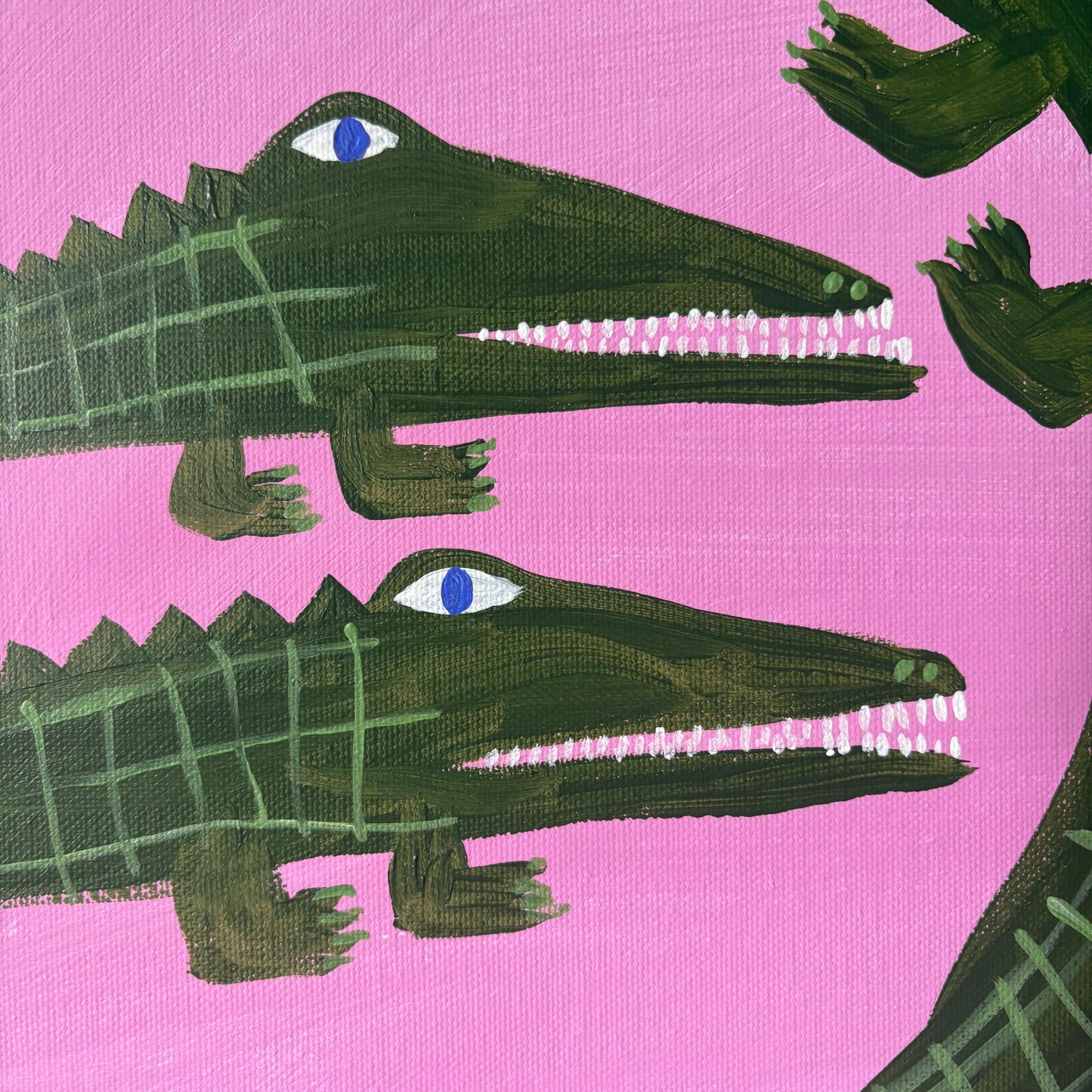Crocodile family.