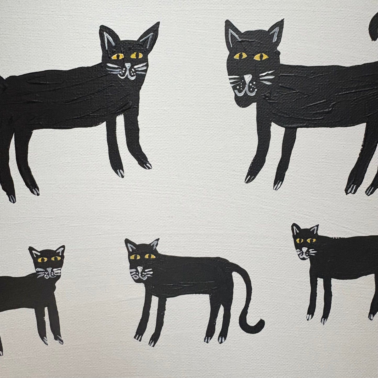 Black cats.