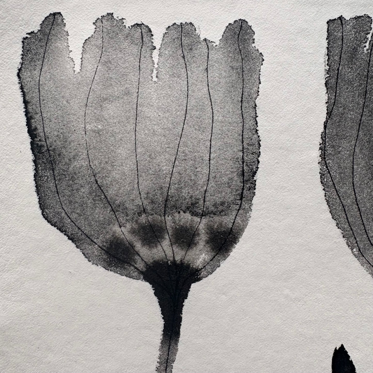 Flowers 6.