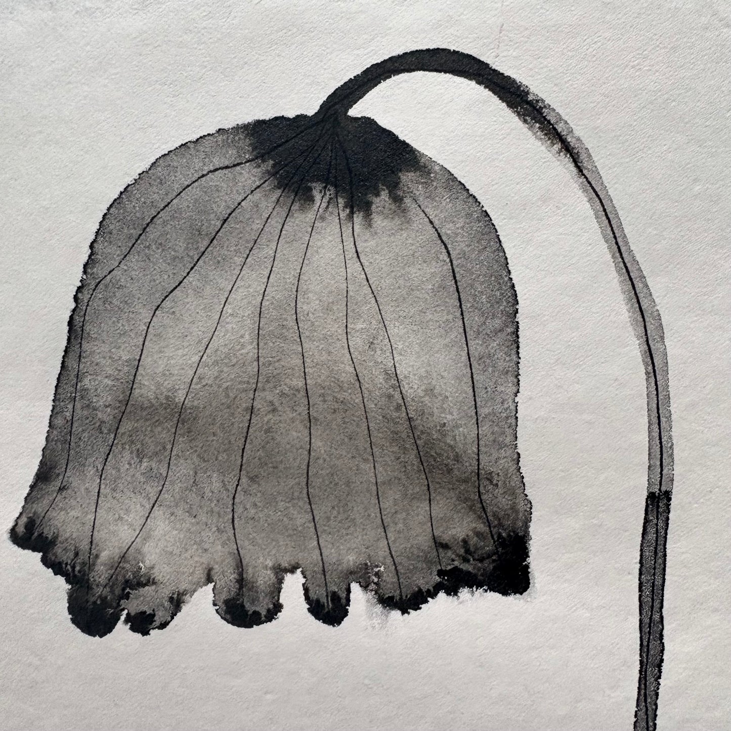 Flowers 5.