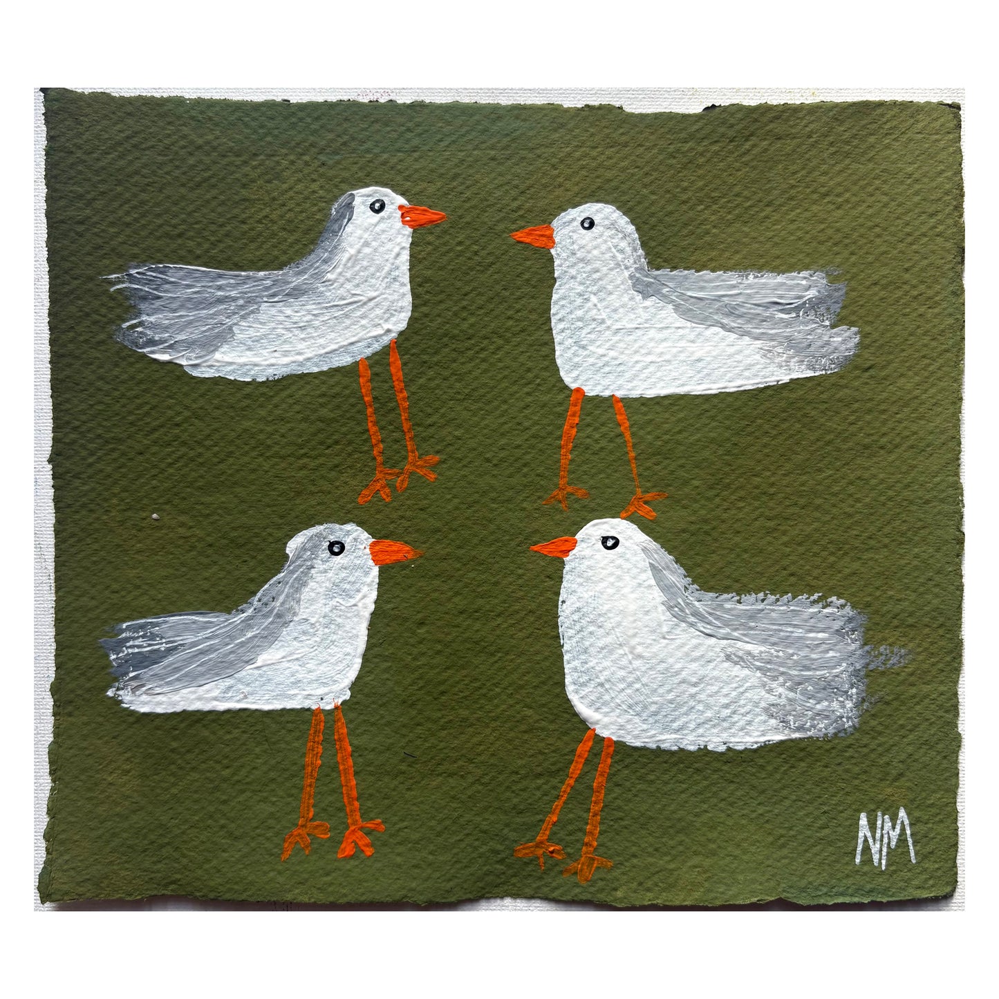 Seagulls 8.