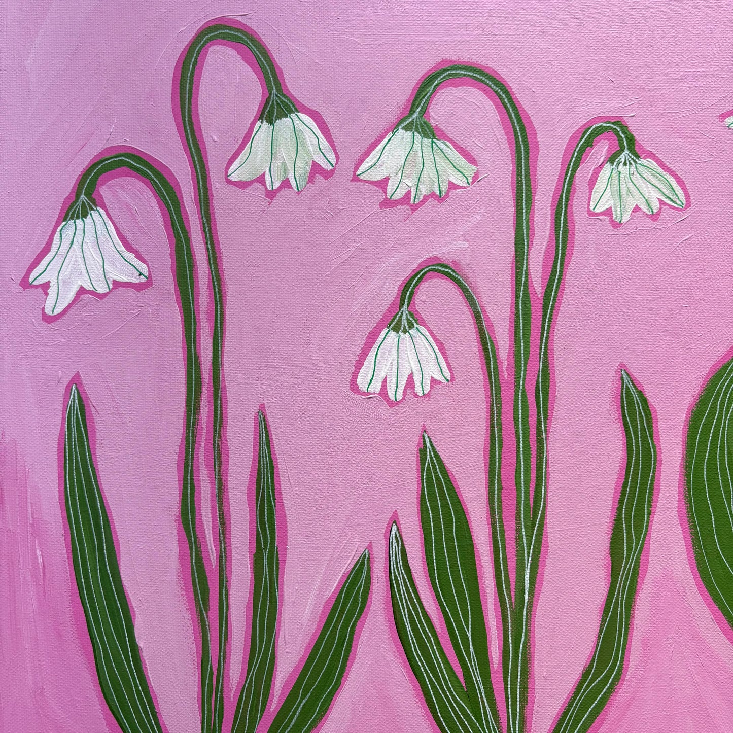 Snowdrops on pink.