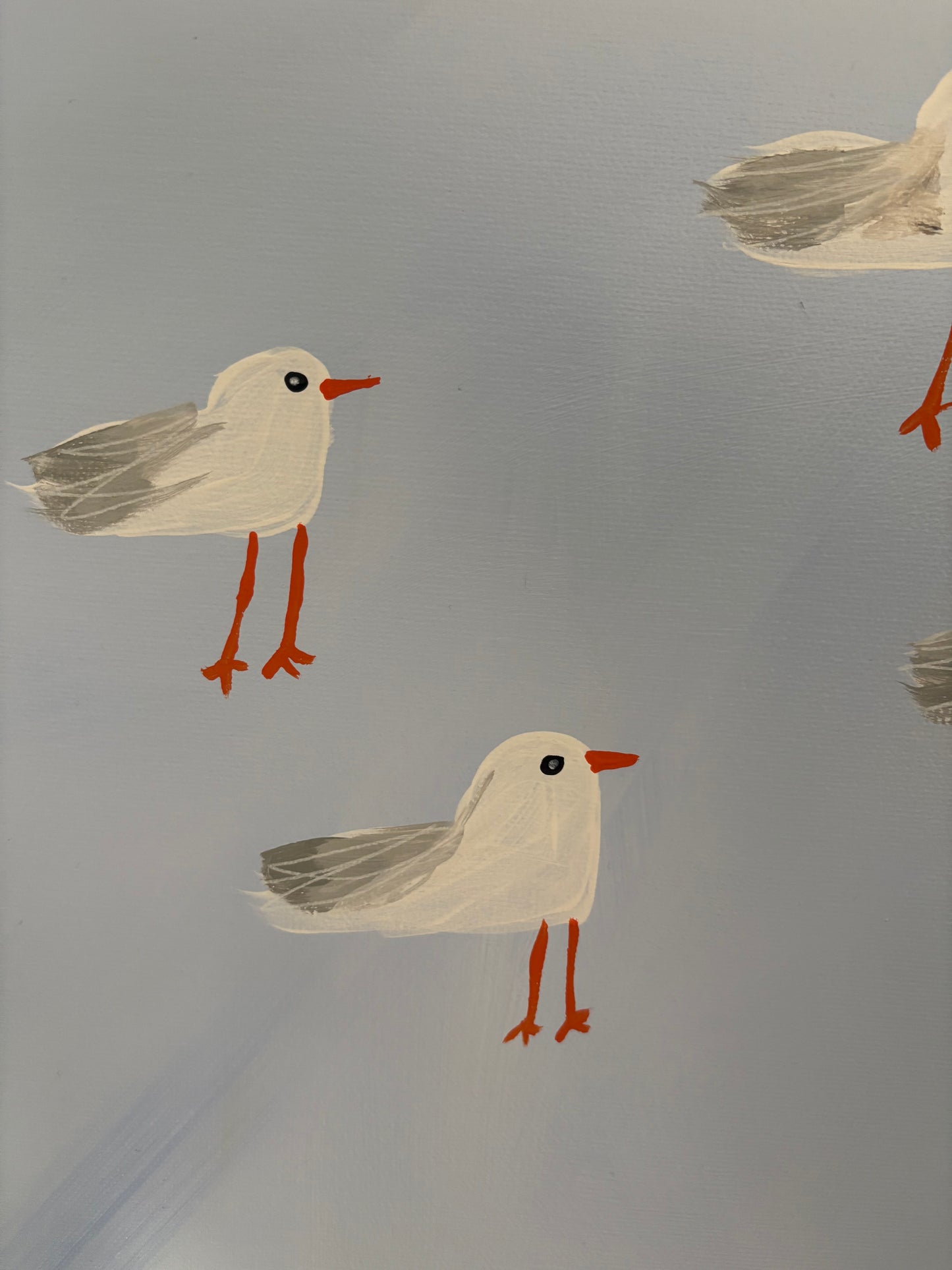 A squabble of seagulls.