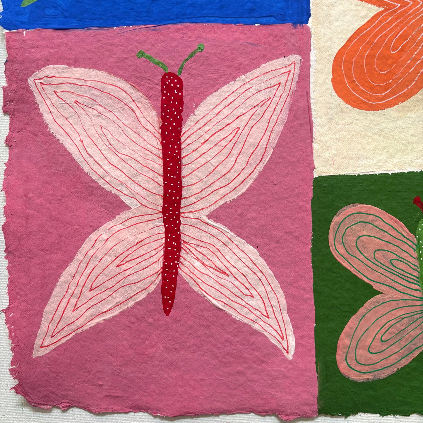 Colouful butterflies.