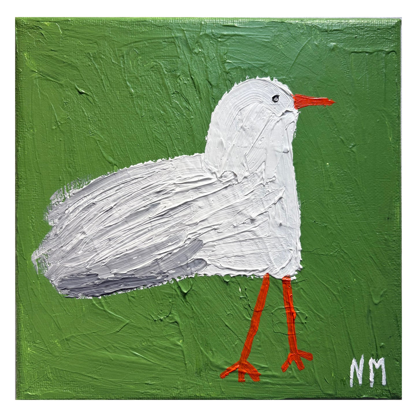 Seagull.