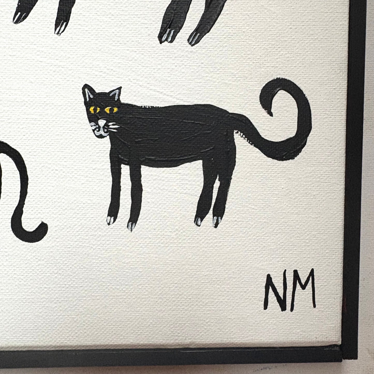 Black cats.