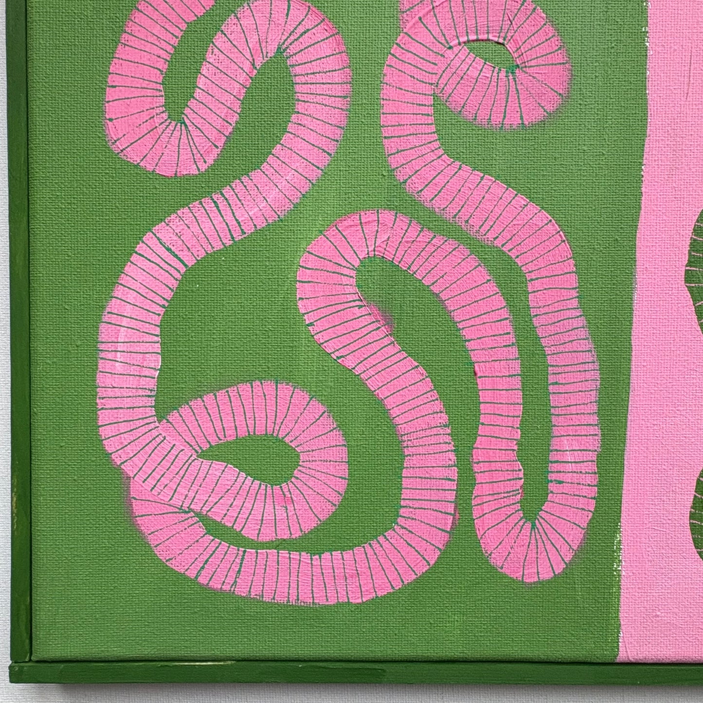 Pink and green snakes.