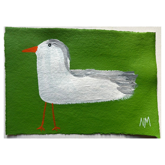Seagulls 7.