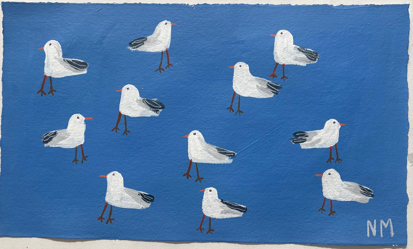 Seagull friends.