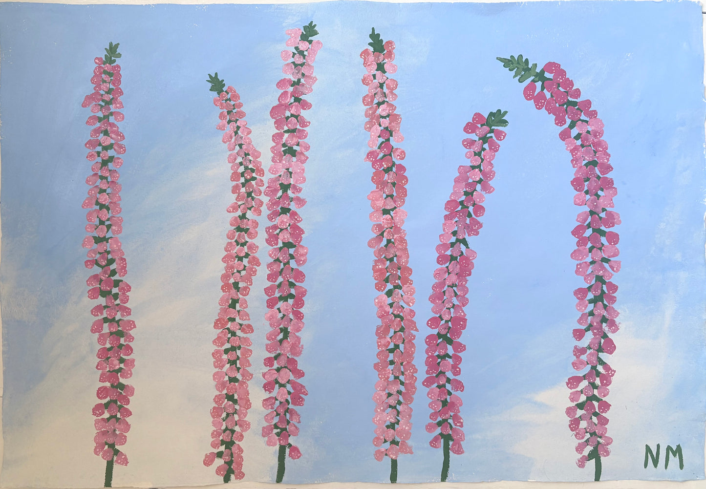 Pink Foxgloves.