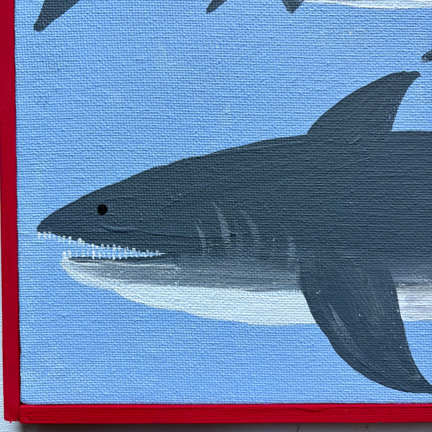Two sharks.