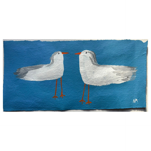Seagulls 10.
