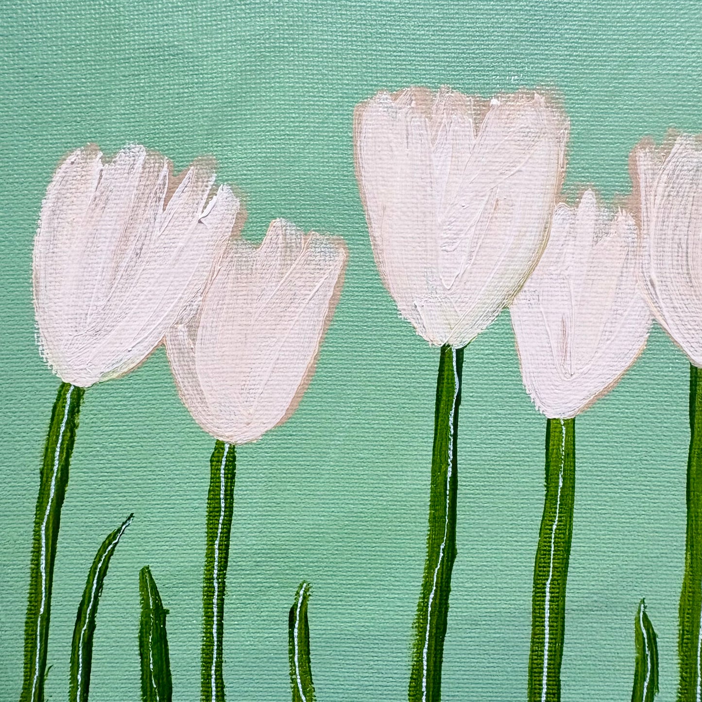White tulips.